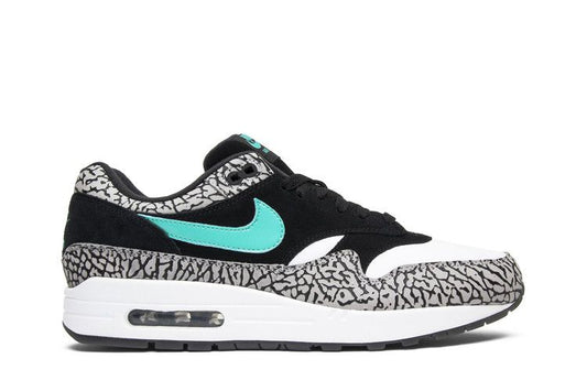Jordan 3 Retro & Nike Air Max 1 atmos Pack