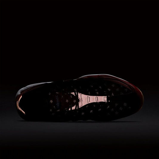 Nike Air Max 95 Independence Day