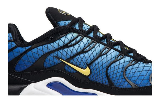 Nike Air Max Plus Greedy