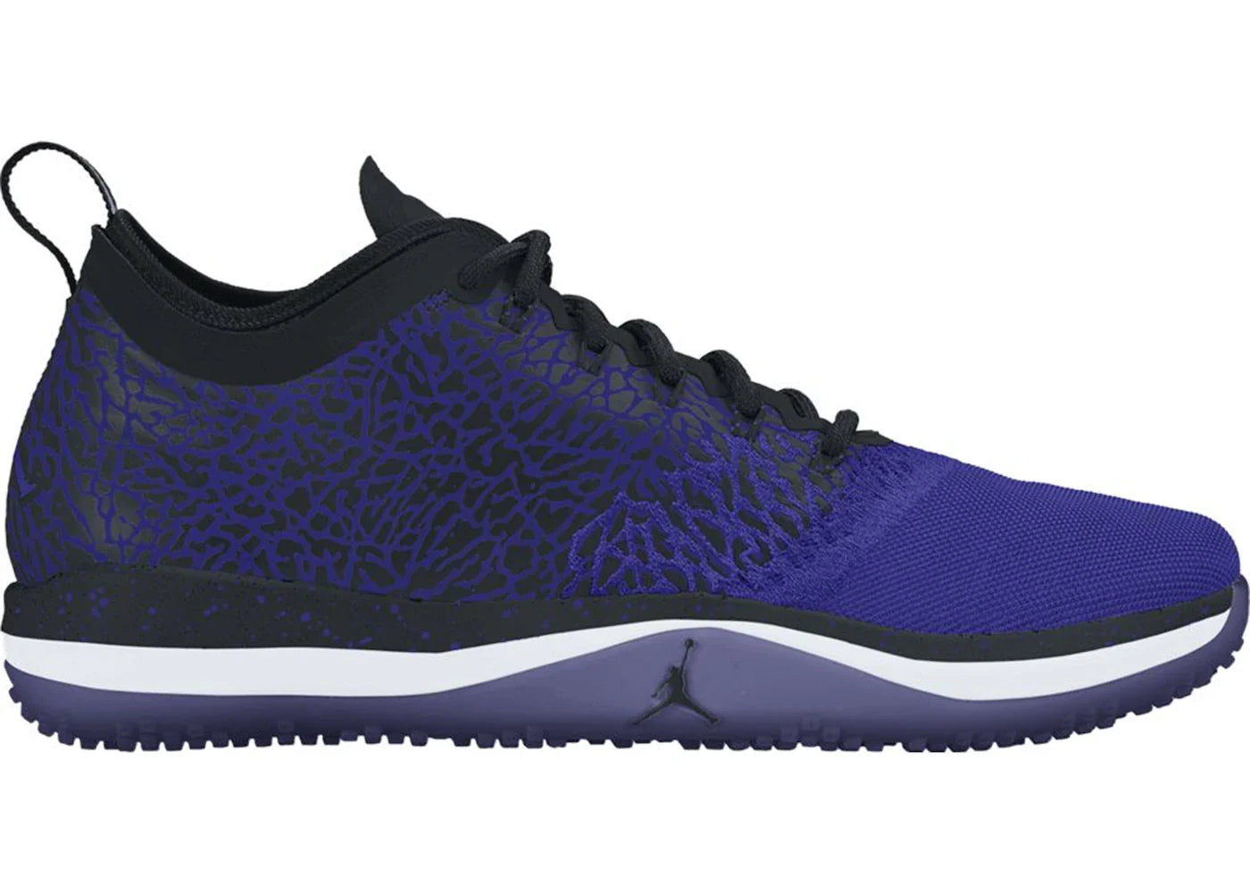 Jordan Trainer 1 Low Concord