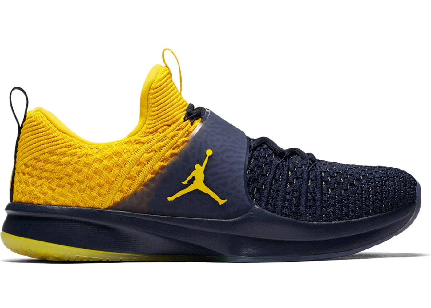 Jordan Trainer 2 Flyknit Michigan