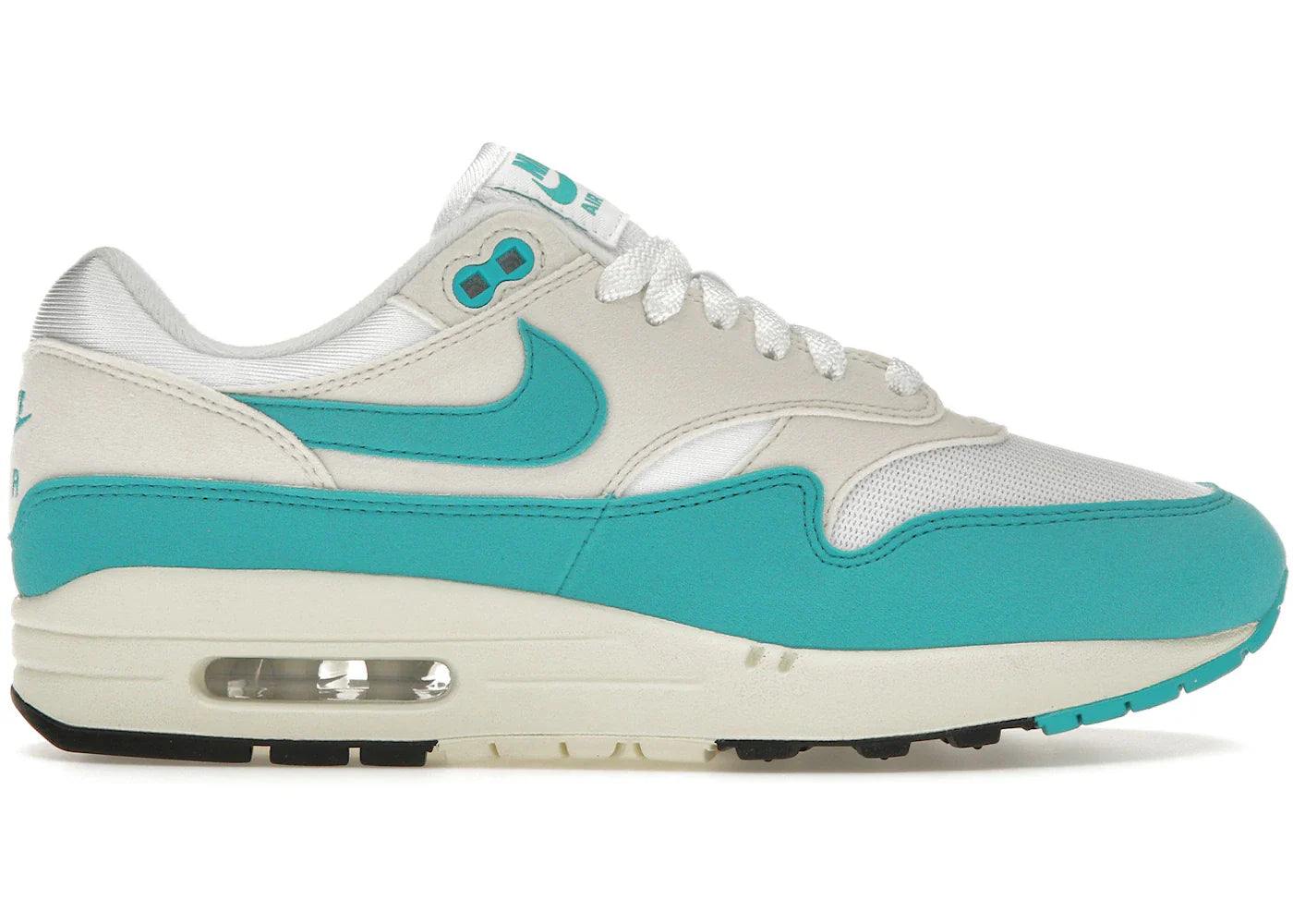 Nike Air Max 1 Dusty Cactus (Women's)