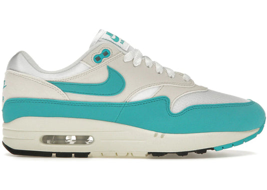 Nike Air Max 1 Dusty Cactus (Women's)
