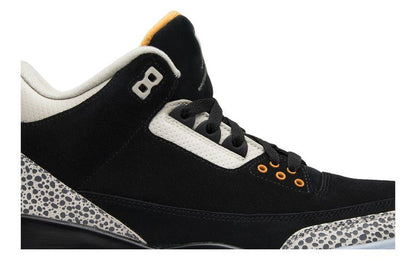 Jordan 3 Retro & Nike Air Max 1 atmos Pack