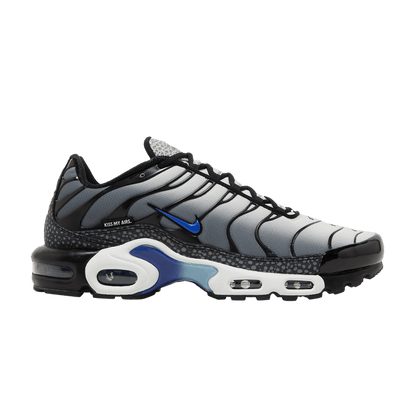 Nike Air Max Plus Kiss My Airs Metallic Silver