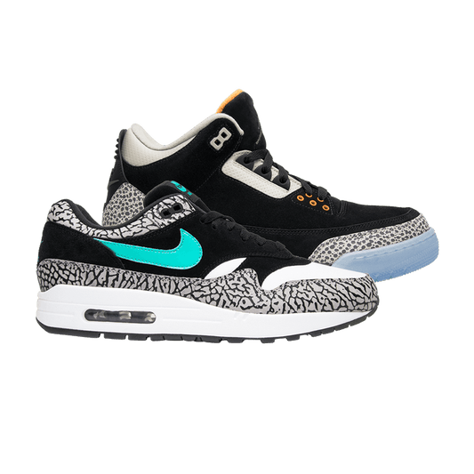 Jordan 3 Retro & Nike Air Max 1 atmos Pack