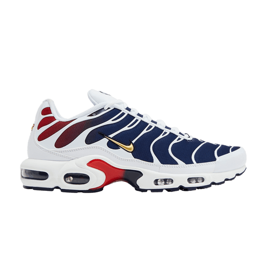 Nike Air Max Plus PSG