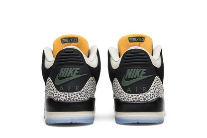 Jordan 3 Retro & Nike Air Max 1 atmos Pack