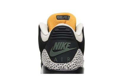 Jordan 3 Retro & Nike Air Max 1 atmos Pack