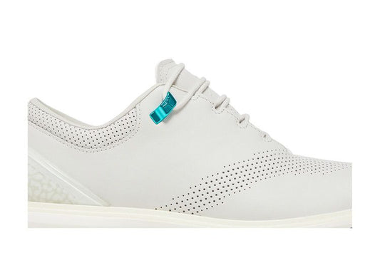 Jordan ADG 4 Golf Grey Fog