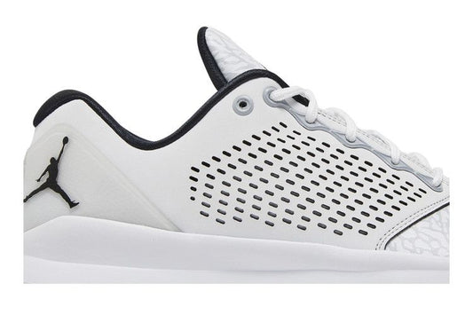 Jordan Trainer ST G White Wolf Grey