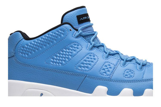 Jordan 9 Retro Low Pantone