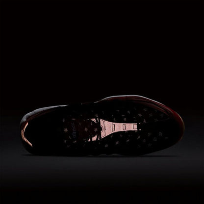 Nike Air Max 95 Independence Day