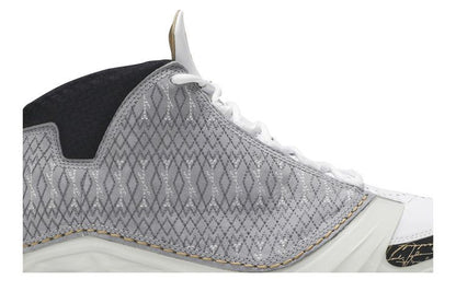 Jordan 23 White Stealth