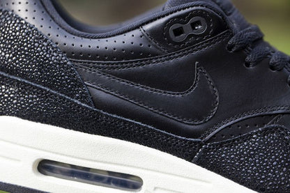 Nike Air Max 1 Stingray Pack