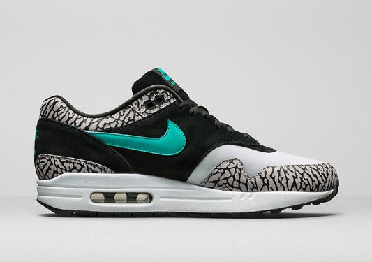 Nike Air Max 1 atmos x Jordan