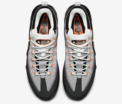 Nike Air Max 95 LeBron 12 Low