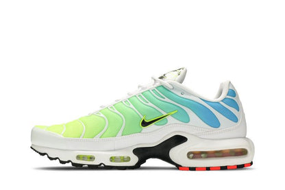 Nike Air Max Plus Worldwide