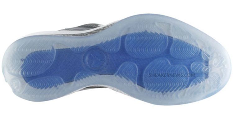 Jordan 2010 Silver Anniversary