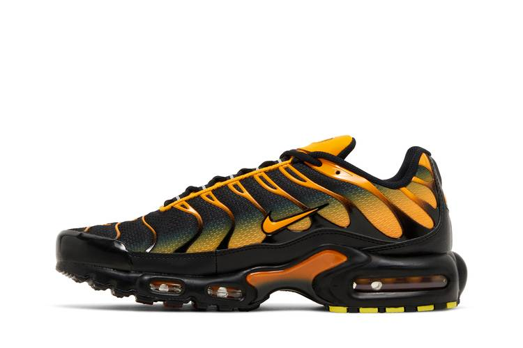 Nike Air Max Plus Black Sundial