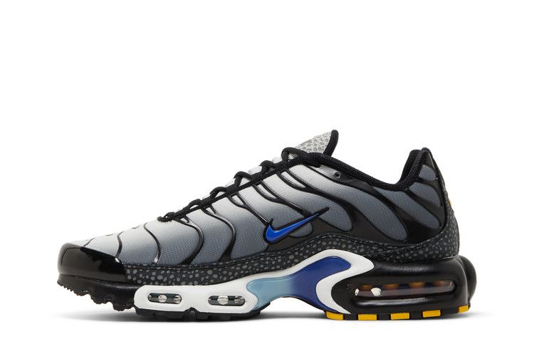 Nike Air Max Plus Kiss My Airs Metallic Silver