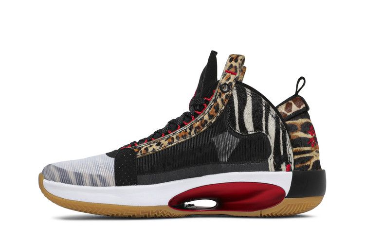 Jordan XXXIV Jayson Tatum Welcome To The Zoo