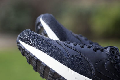 Nike Air Max 1 Stingray Pack