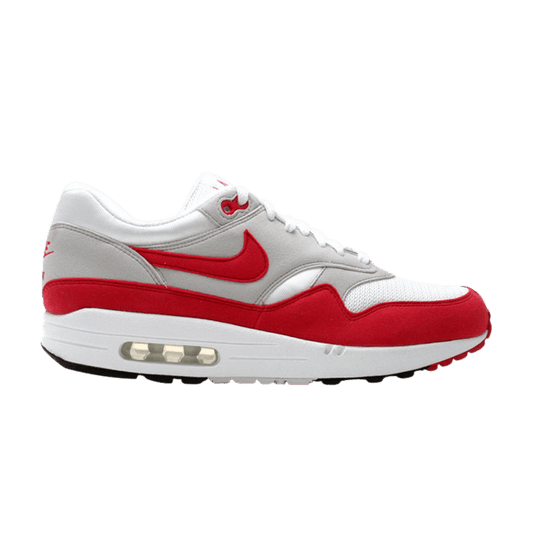 Nike Air Max 1 History of Air