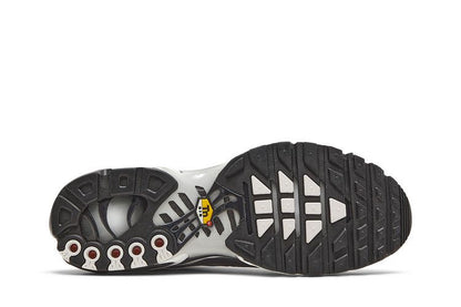 Nike Air Max Plus Dark Smoke Grey