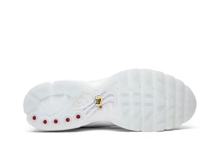 Nike Air Max Plus NIC