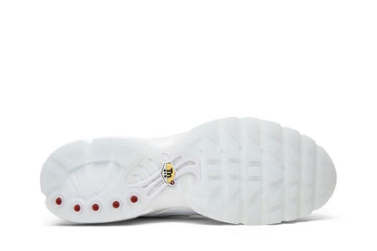 Nike Air Max Plus NIC