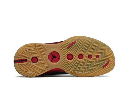 Jordan XXXIV Jayson Tatum Welcome To The Zoo