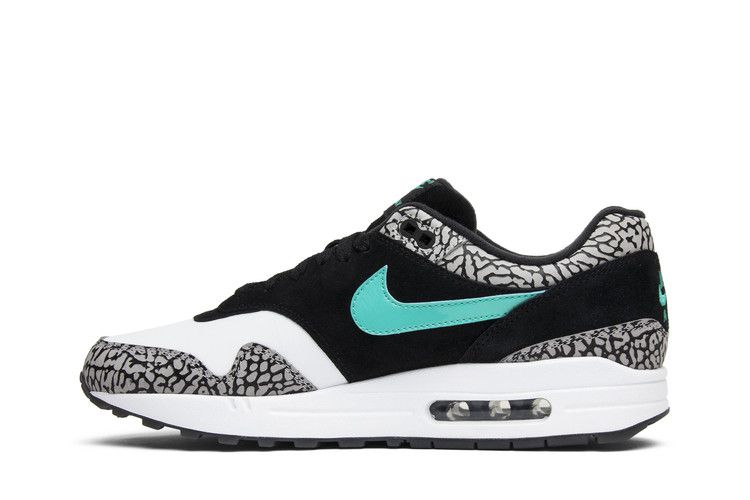 Jordan 3 Retro & Nike Air Max 1 atmos Pack