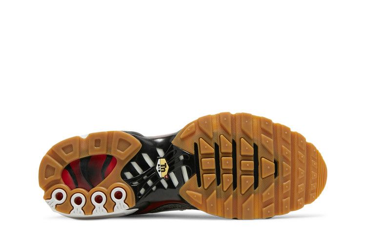 Nike Air Max Plus Remix