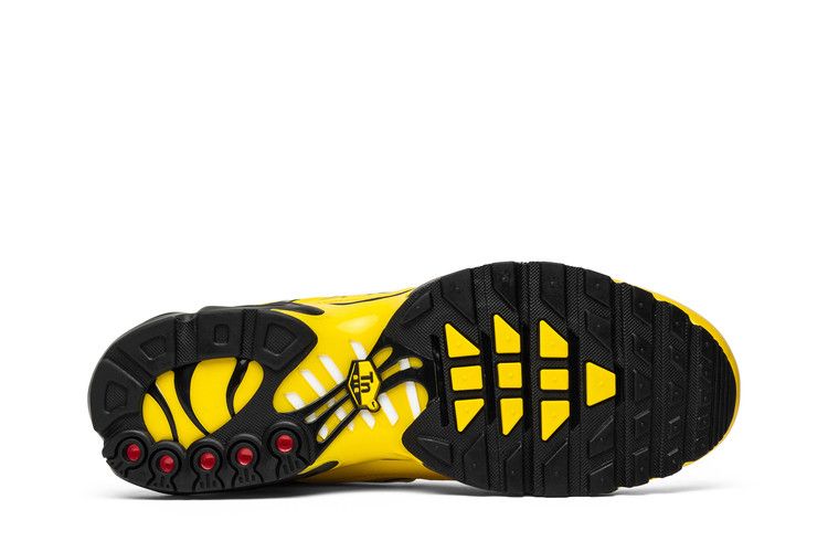 Nike Air Max Plus Frequency Pack