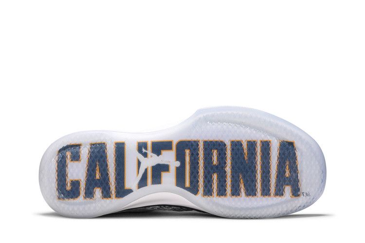 Jordan XXX1 Low California Bears