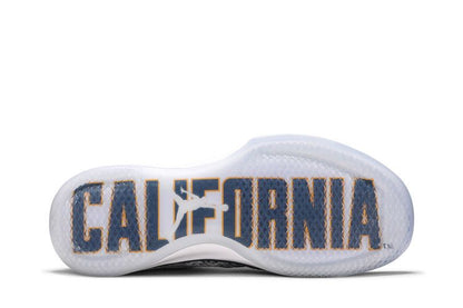 Jordan XXX1 Low California Bears