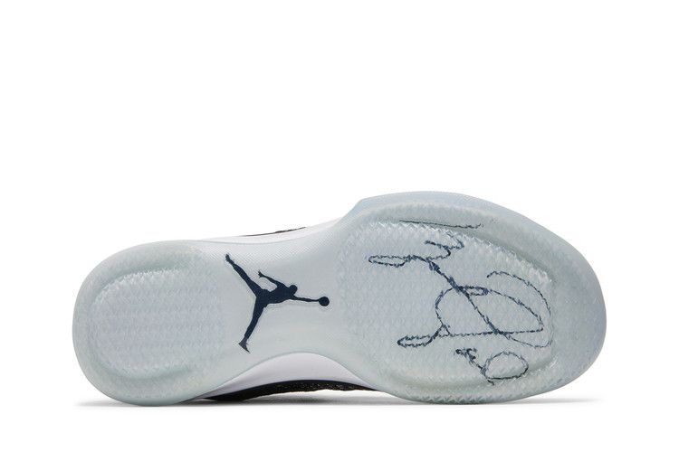 Jordan XXX1 Fine Print