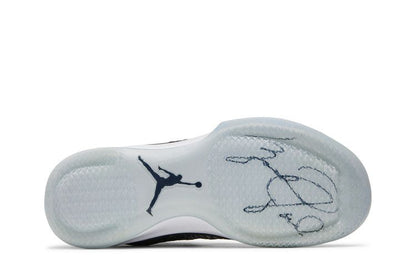 Jordan XXX1 Fine Print