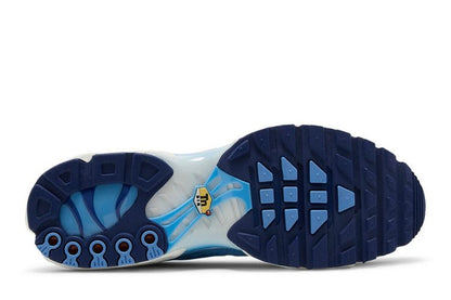 Nike Air Max Plus First Use University Blue