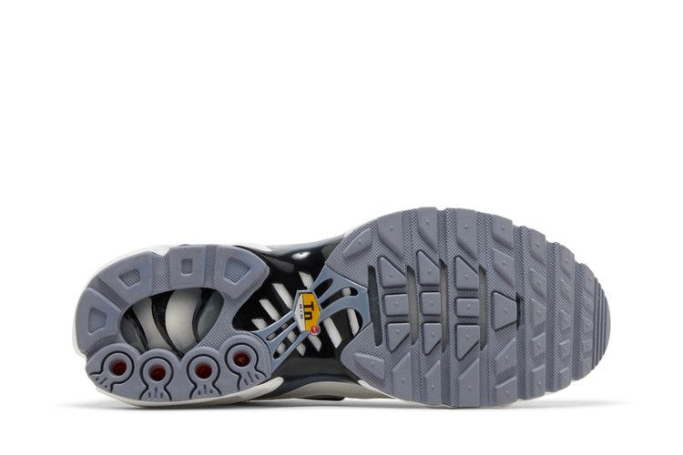 Nike Air Max Plus Smoke Grey Ashen Slate (Women's)