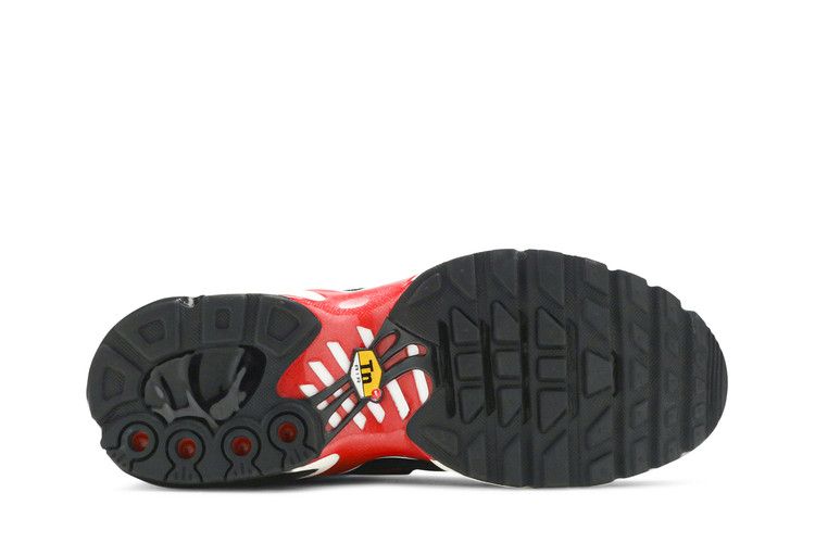 Nike Air Max Plus Premium Black Red Leopard (Women's)