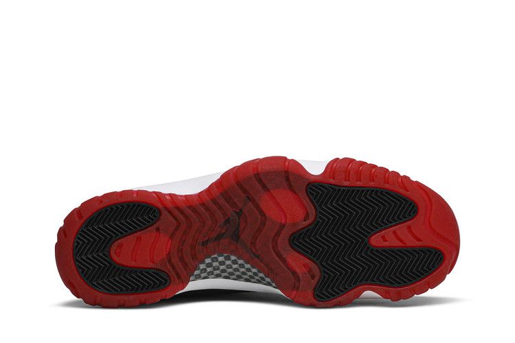 Jordan 11 Retro Playoffs CDP (2008)