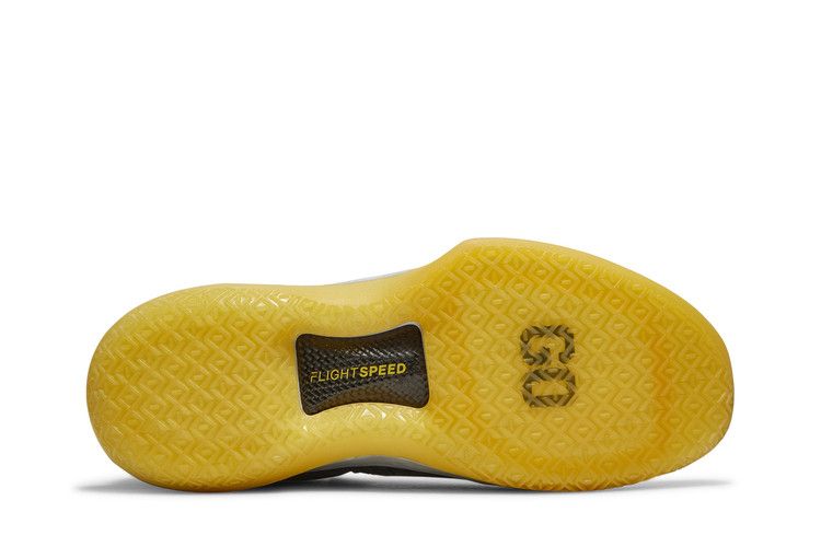 Jordan XXXII Low Michigan