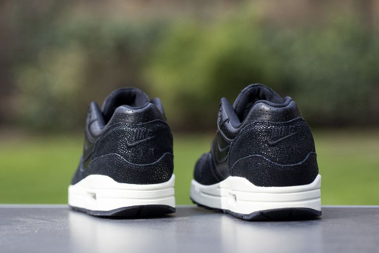 Nike Air Max 1 Stingray Pack