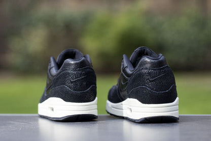 Nike Air Max 1 Stingray Pack