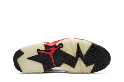 Jordan 6 Retro Bulls (2010)