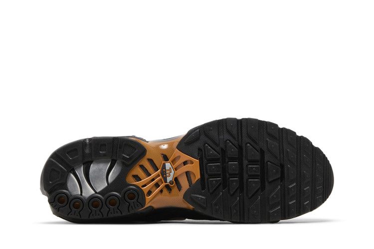 Nike Air Max Plus Dark Obsidian Monarch