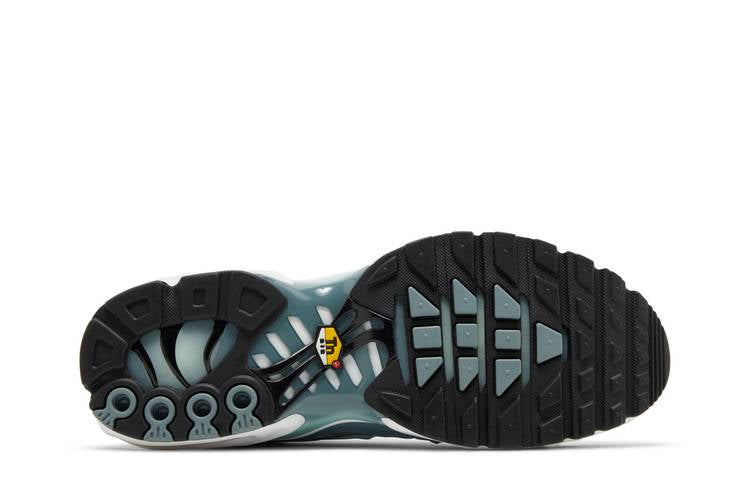 Nike Air Max Plus Origins Waterway