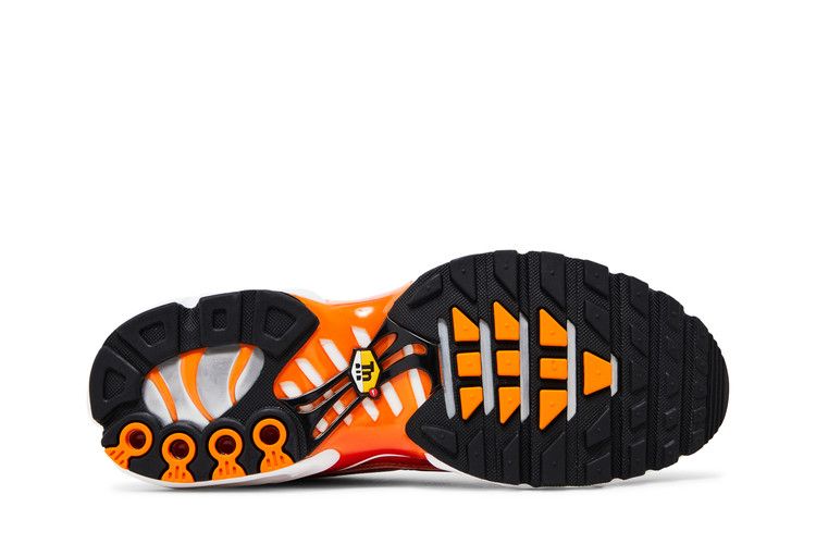 Nike Air Max Plus Light Photography